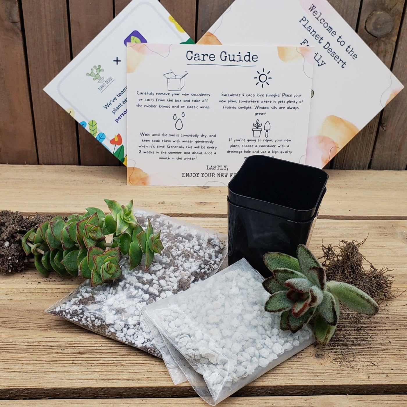 succulents box shipping 2 Succulents Subscription Box (Growing Kit) – Planet Desert