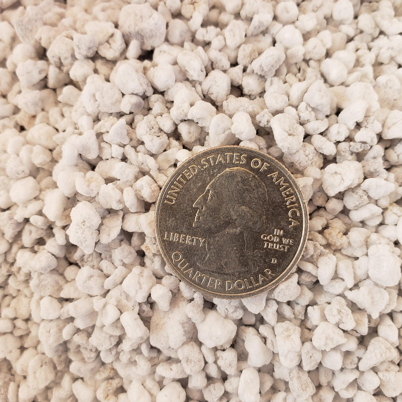 perlite or pumice for succulents Perlite 4 Quarts porosity soil amendment for cactus and succulents – Planet Desert