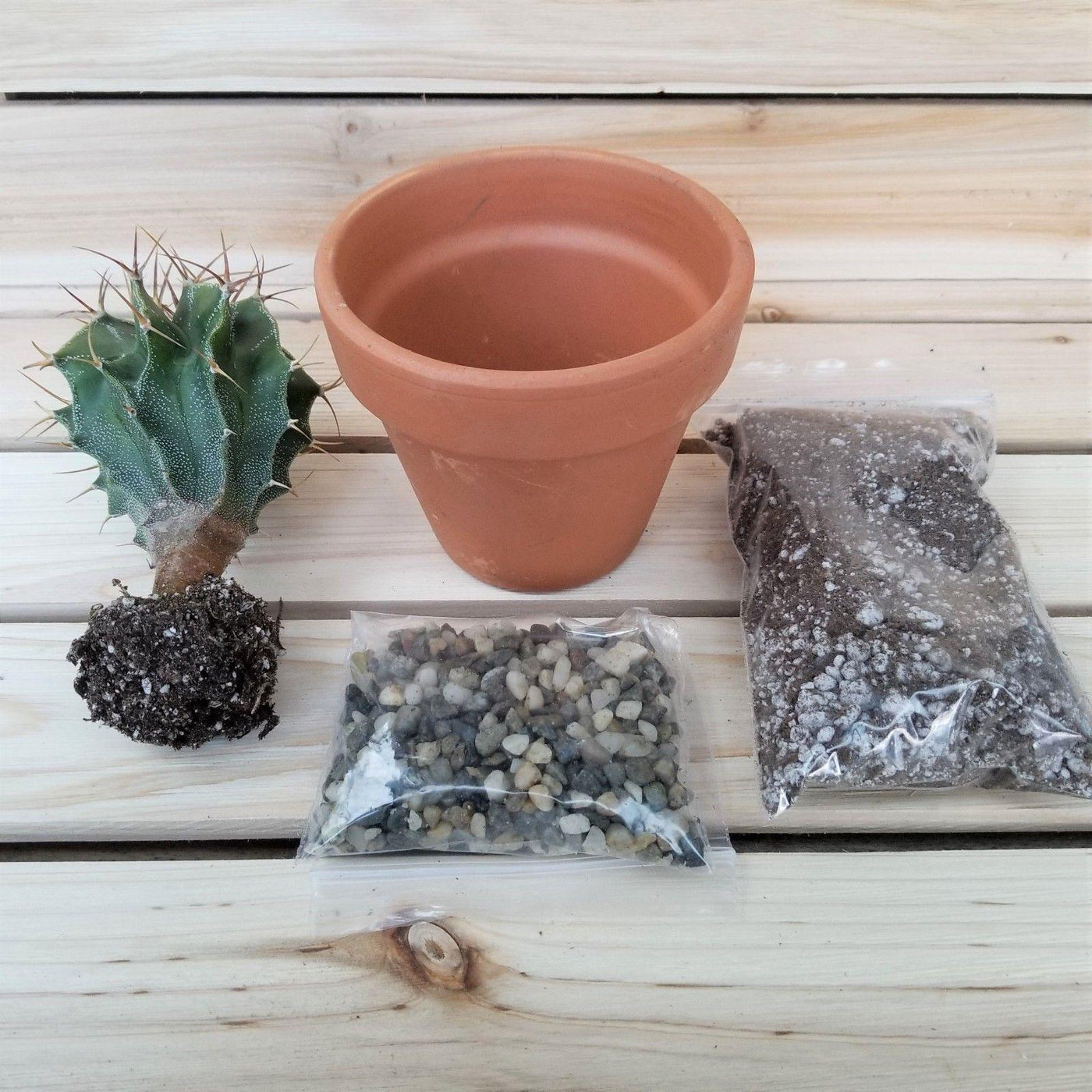 cactus potting soil diy DIY Cactus terracotta 3.5" pot kit – Planet Desert