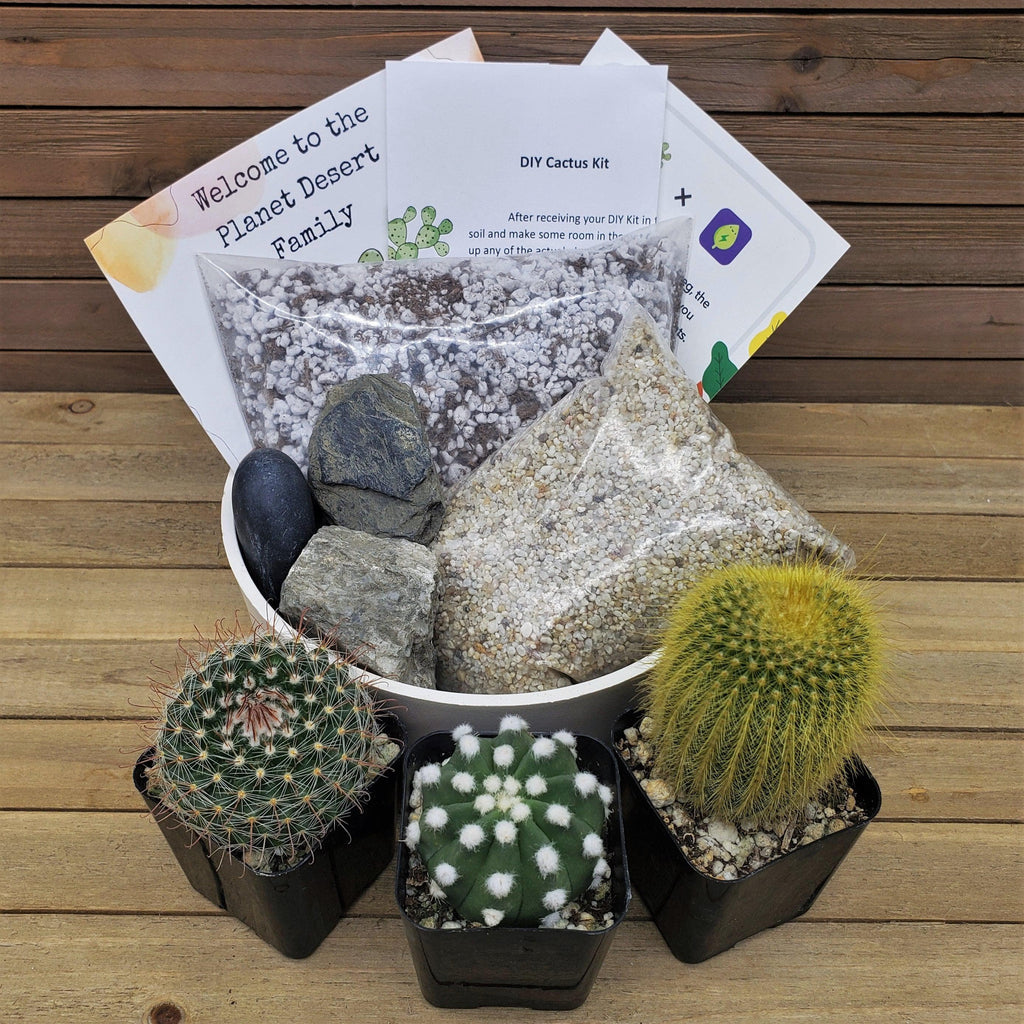 3 Cacti Capri DIY Kit