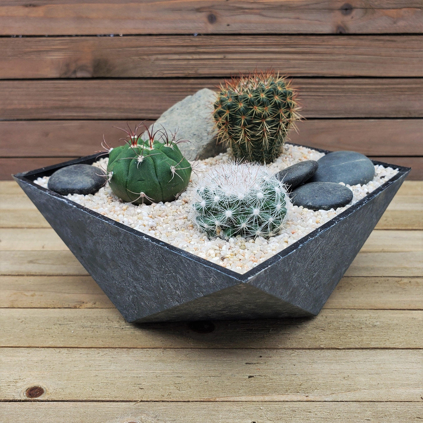 3 Cacti Desert Faceted DIY Kit