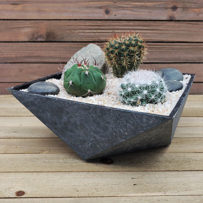 3 Cacti Desert Faceted DIY Kit