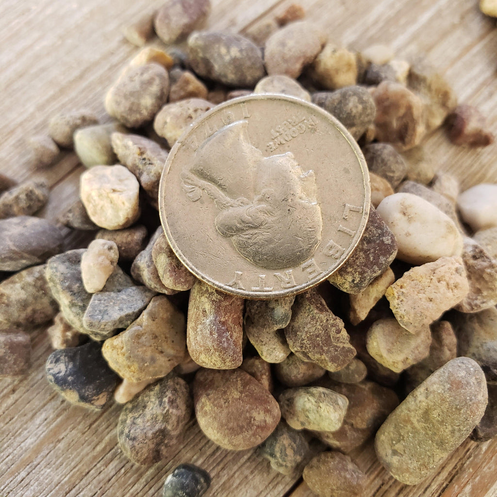 1 Lb 3/8 Arizona river rock Cactus and Succulent Top Soil Dressing