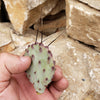 Opuntia macrocentra cutting