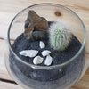 DIY Cactus glass globe black