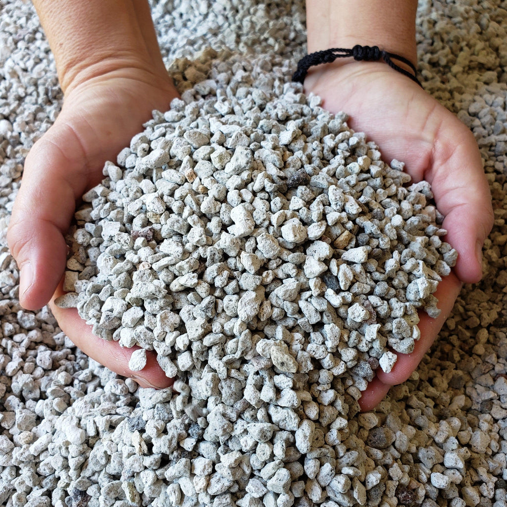 2 Quarts 1/4 Pumice Rock Horticultural Cactus Succulent Bonsai Amendment