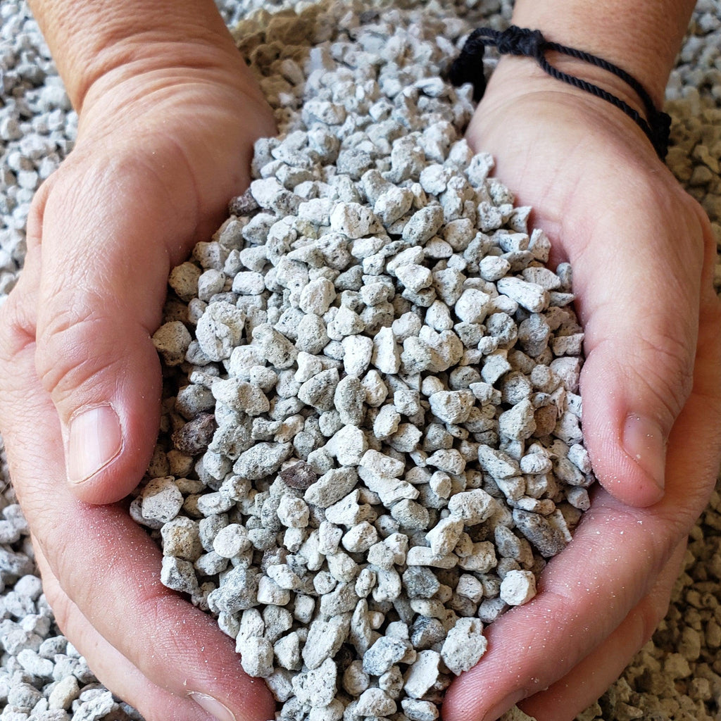 2 Quarts 1/4 Pumice Rock Horticultural Cactus Succulent Bonsai Amendment