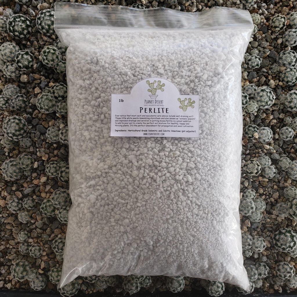 Perlite 4 Quarts porosity soil amendment for cactus and succulents