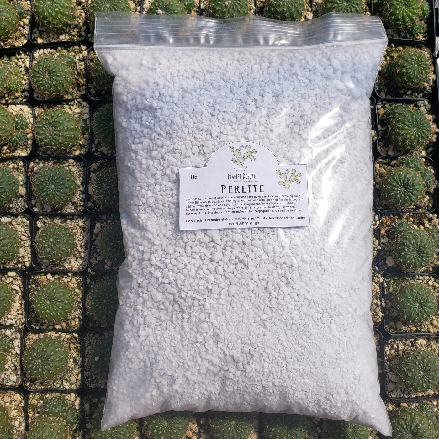 potting soil and perlite for succulents Perlite 4 Quarts porosity soil amendment for cactus and succulents – Planet Desert