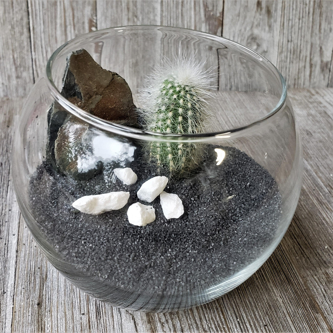 DIY Cactus glass globe black