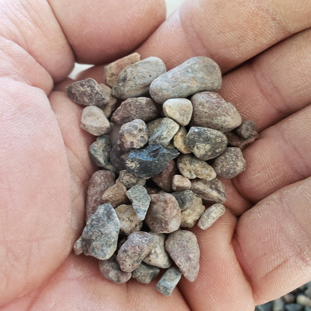 1 Lb 3/8 Arizona river rock Cactus and Succulent Top Soil Dressing