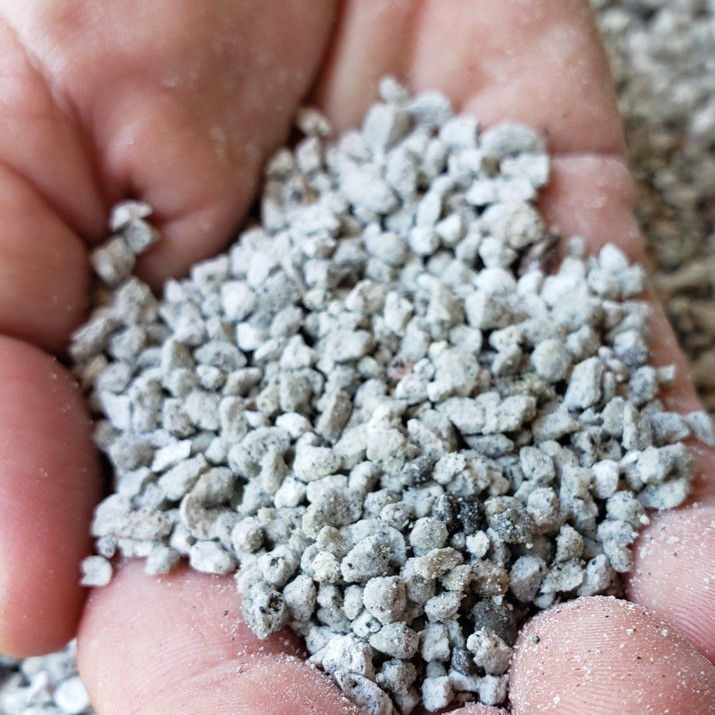 2 Quarts 1/8 Horticultural Pumice Seed Starter Cactus and Succulent Soil Amendment Top Dressing - Planet Desert