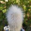 Silver Torch Cactus &