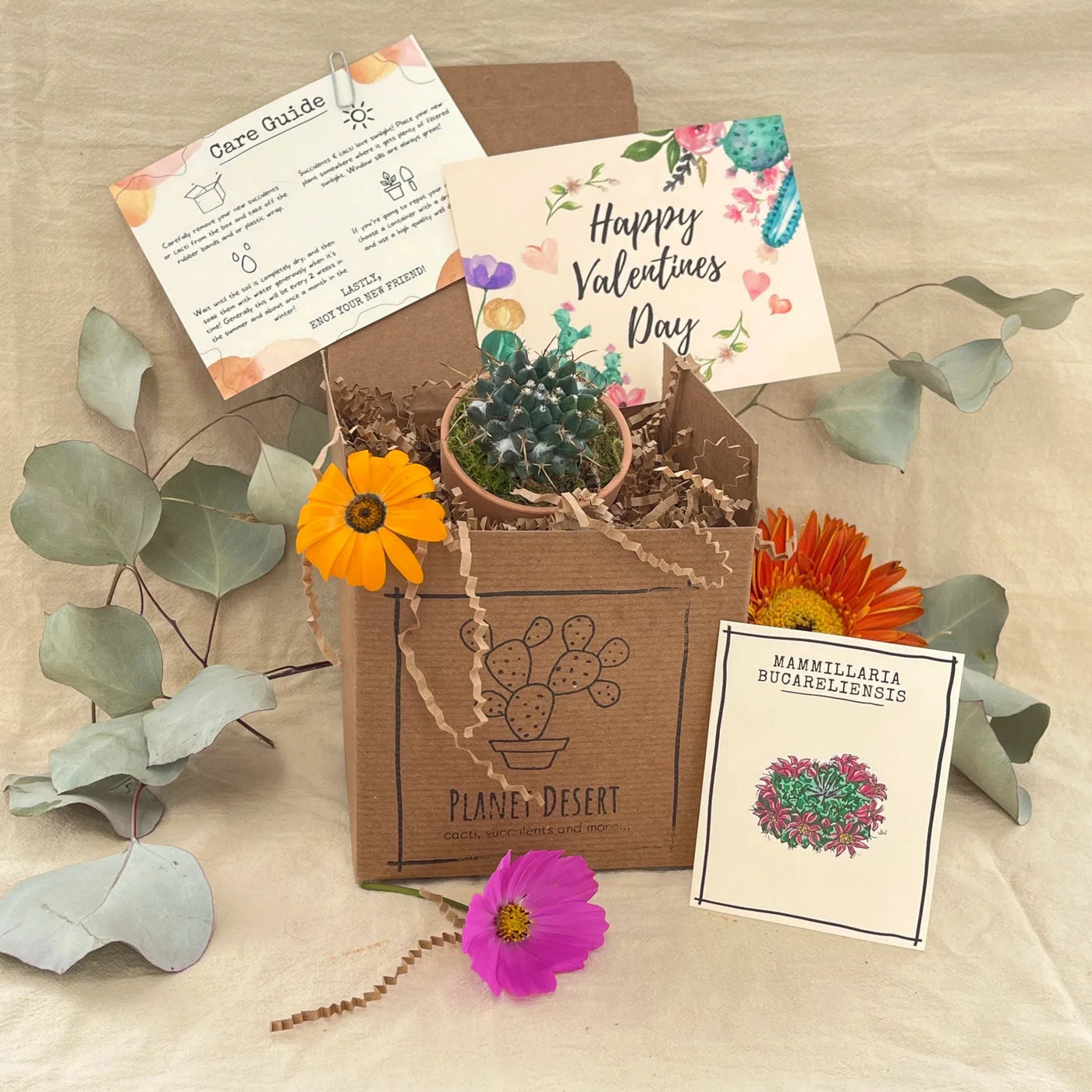 succulent valentines card Greeting Card