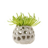 Gideon Air Plant Holder