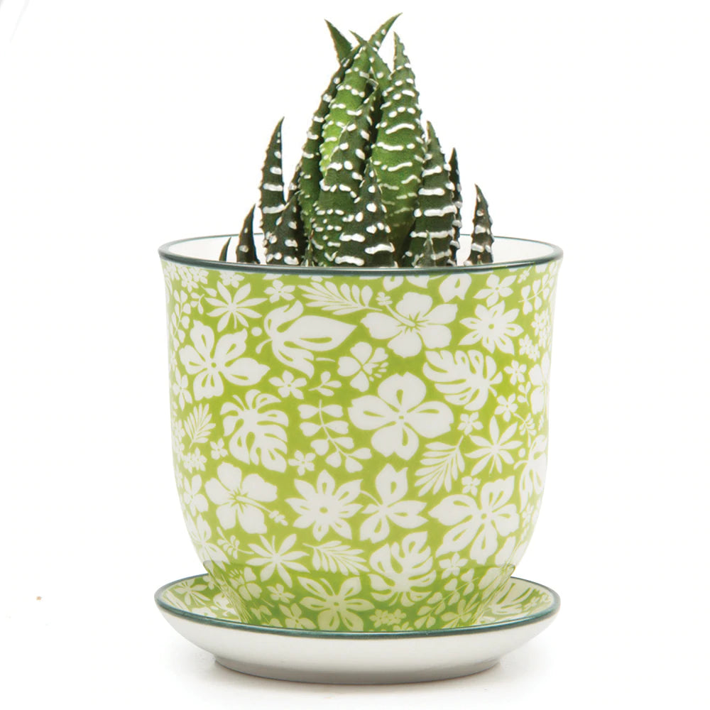 Liberte Pot and Saucer