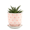 Liberte Pot and Saucer