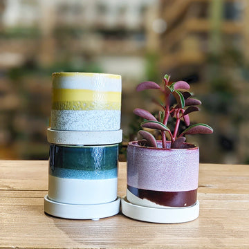 Minute Pot and Saucer 3-Inch / Green Cement