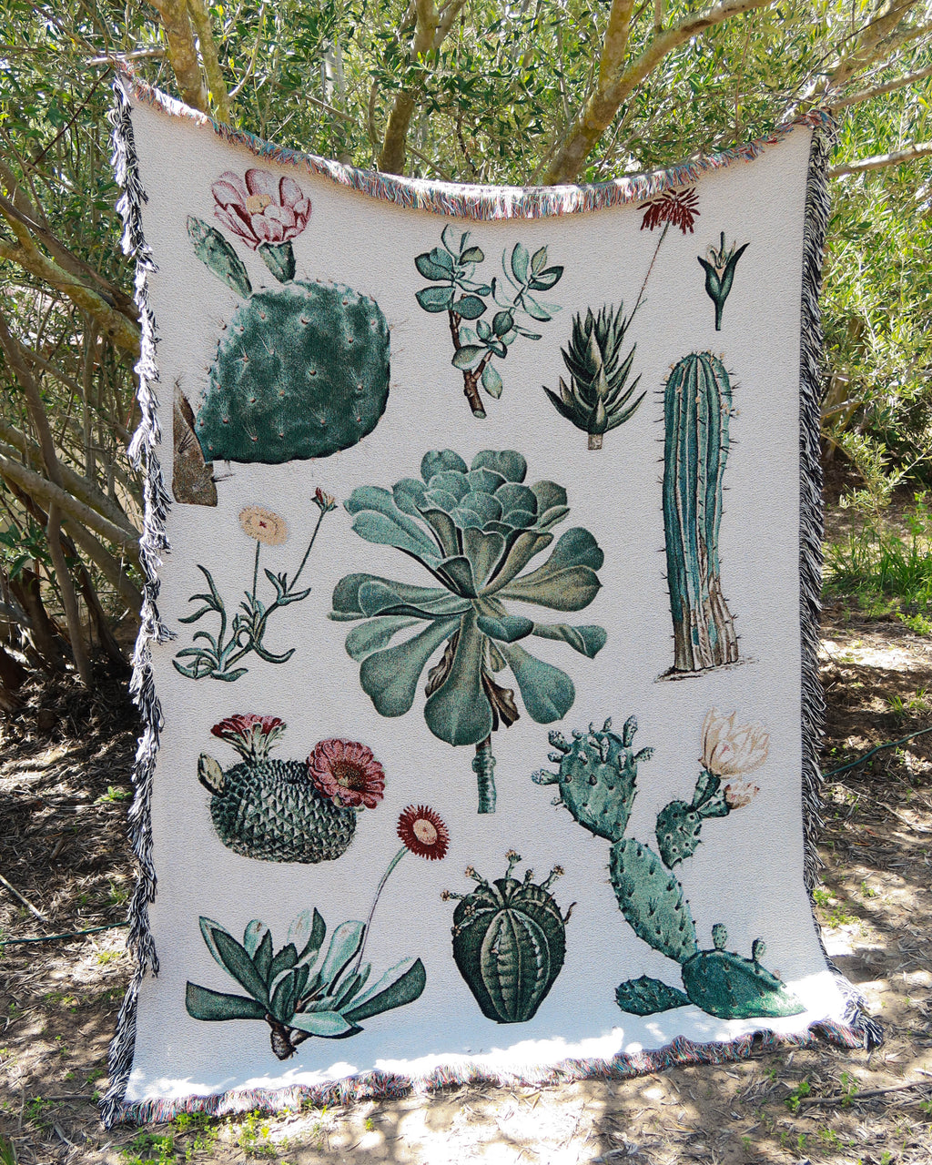 Cacti and Succulent Woven Blanket