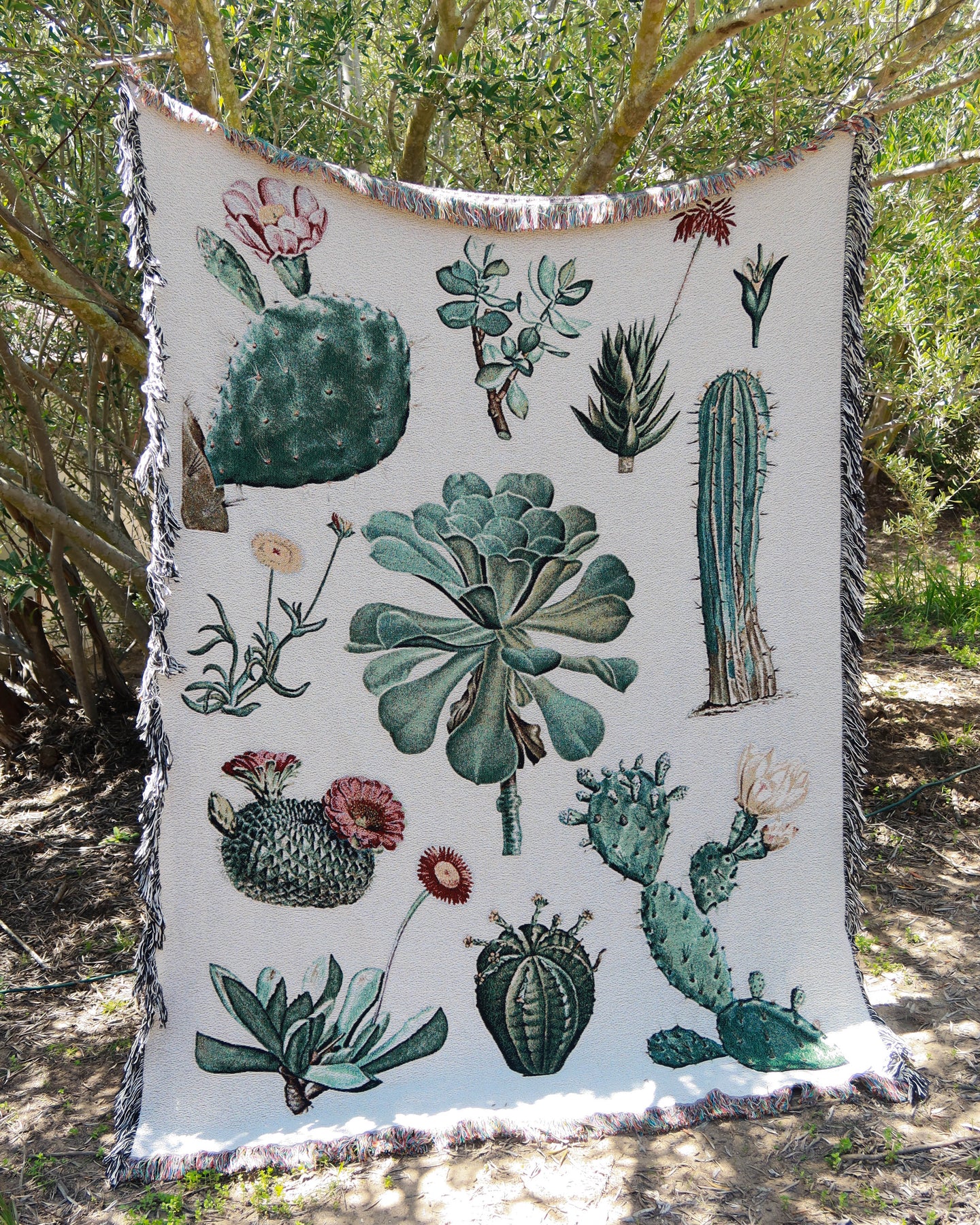 succulent quilt Cacti and Succulent Woven Blanket – Planet Desert