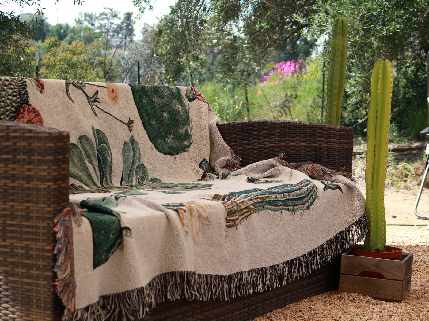 succulent throw blanket Cacti and Succulent Woven Blanket – Planet Desert