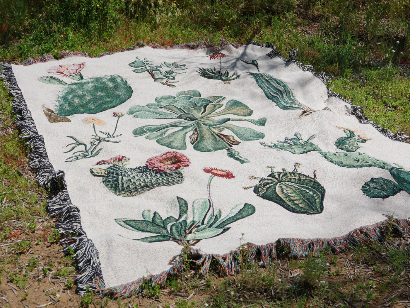 succulent throw blanket Cacti and Succulent Woven Blanket – Planet Desert