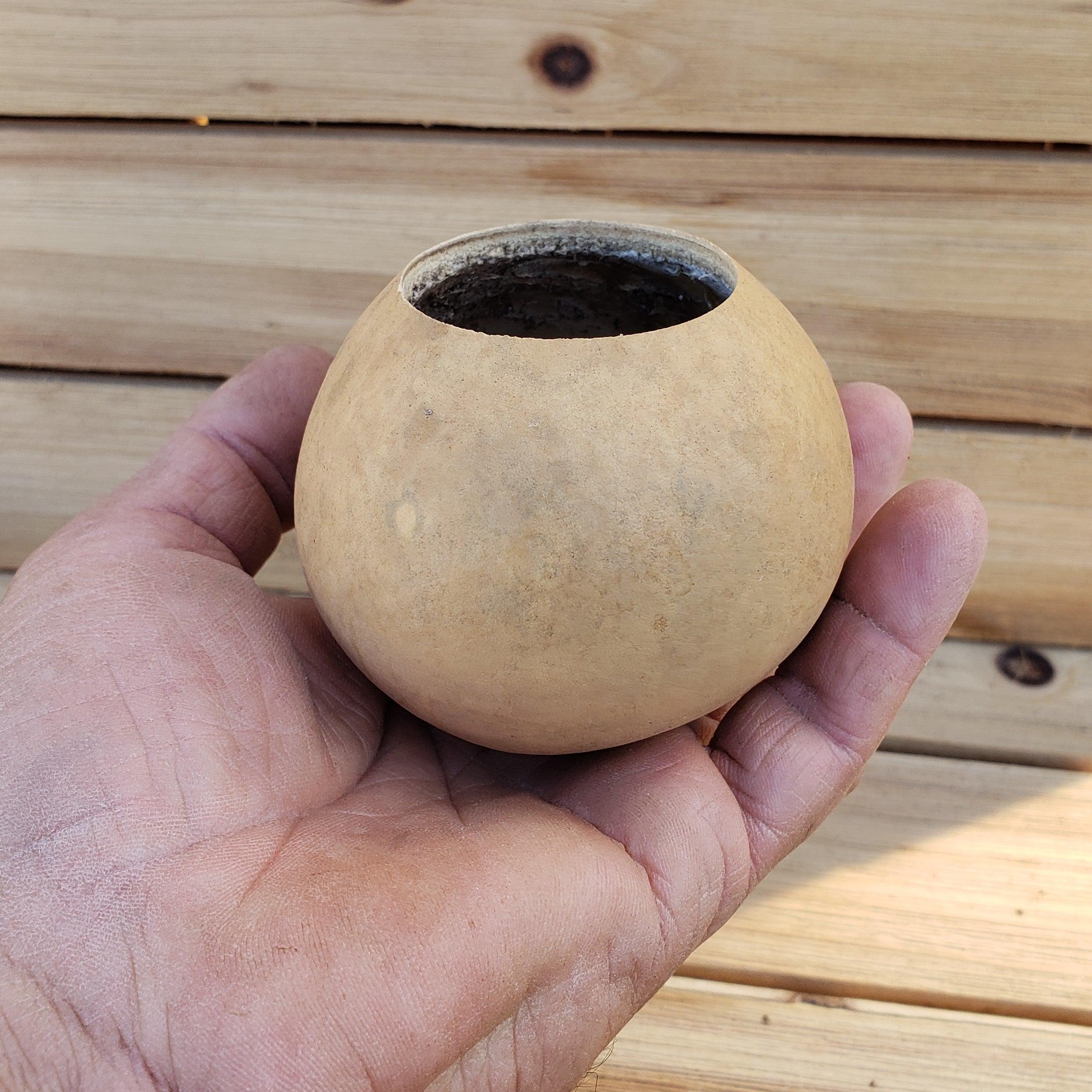 3 inch Organic Gourd Planter