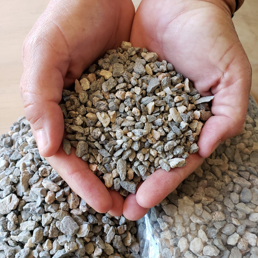 Cactus and Succulent Top Soil Dressing