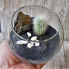 DIY Cactus glass globe black