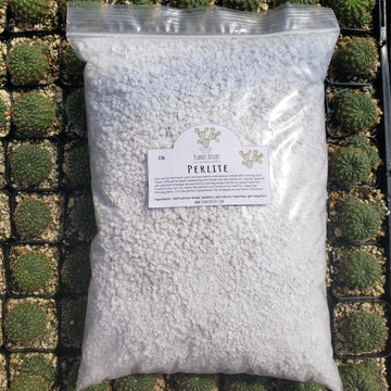 well draining soil for succulents Perlite 4 Quarts porosity soil amendment for cactus and succulents – Planet  Desert