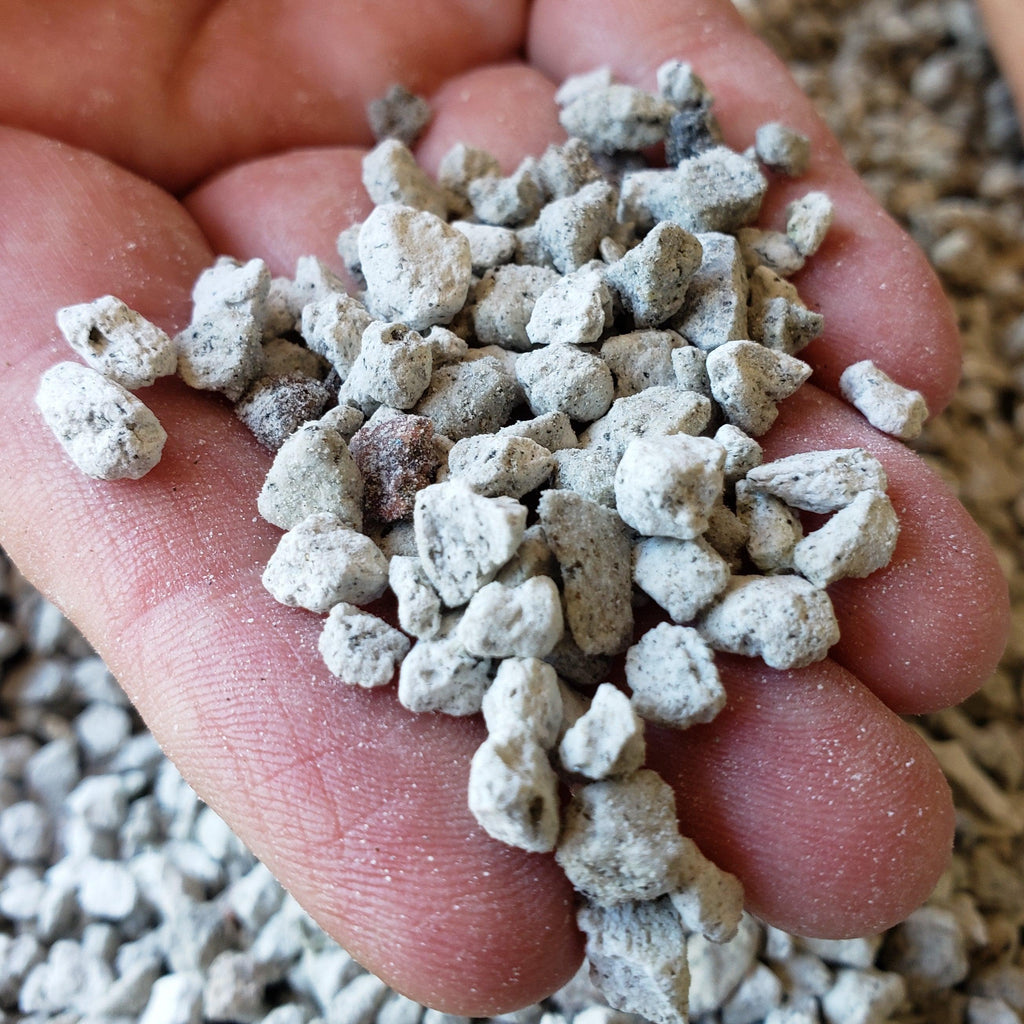 2 Quarts 1/4 Pumice Rock Horticultural Cactus Succulent Bonsai Amendment