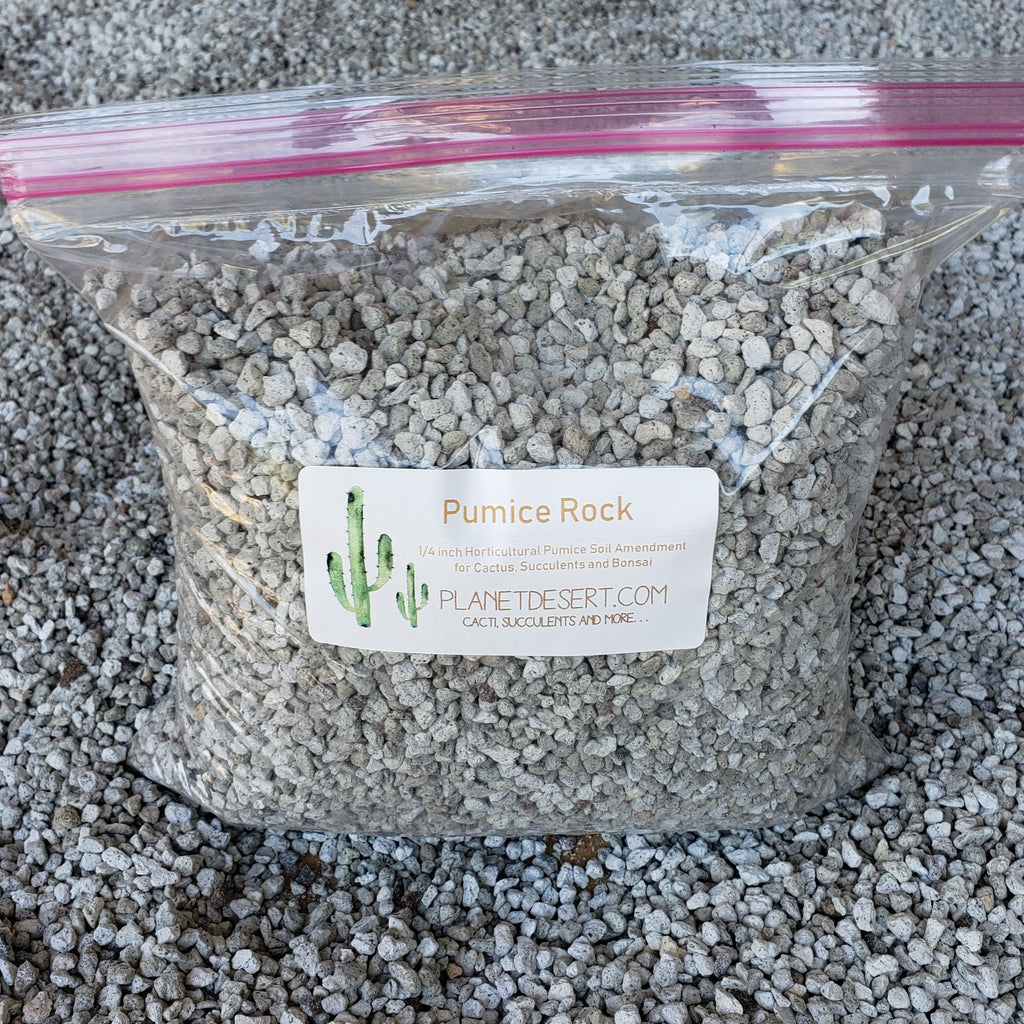 2 Quarts 1/4 Pumice Rock Horticultural Cactus Succulent Bonsai Amendment