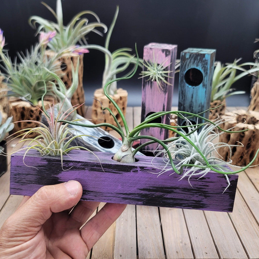 Natural Painted Wood Block 3-Hole