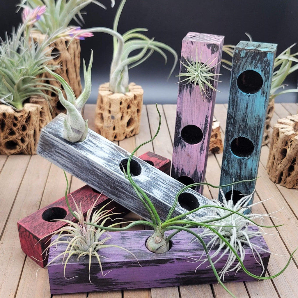 Natural Painted Wood Block 3-Hole