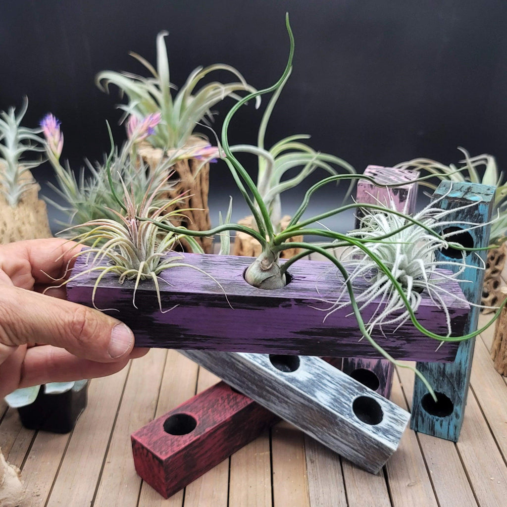 Natural Painted Wood Block 3-Hole