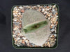 Split Rock Succulent &