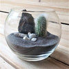 DIY Cactus glass globe black