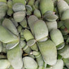 Gasteria glomerata