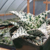 Aloe white storm