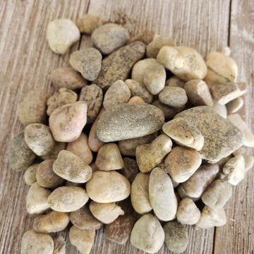 top dressing rocks for succulents 1 Lb 3/8 Del rio pebble river rock Cactus and Succulent Top Soil Dressing