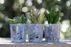 6 mini succulent gift wedding favors in glazed glass