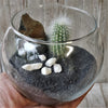 DIY Cactus glass globe black