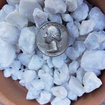 white pebbles for succulents 1 Lb White pebbles Rock Cactus and Succulent Top Soil Dressing