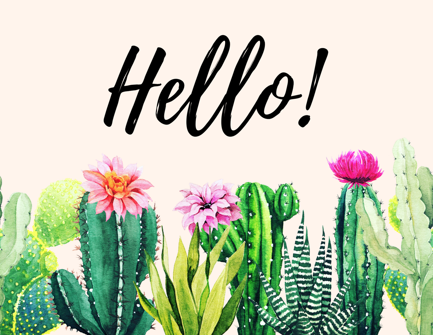 hello succulents Succulent Greeting Card for Any Occasion