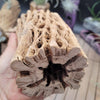 Natural Cholla Wood Hollow  (2"-12")