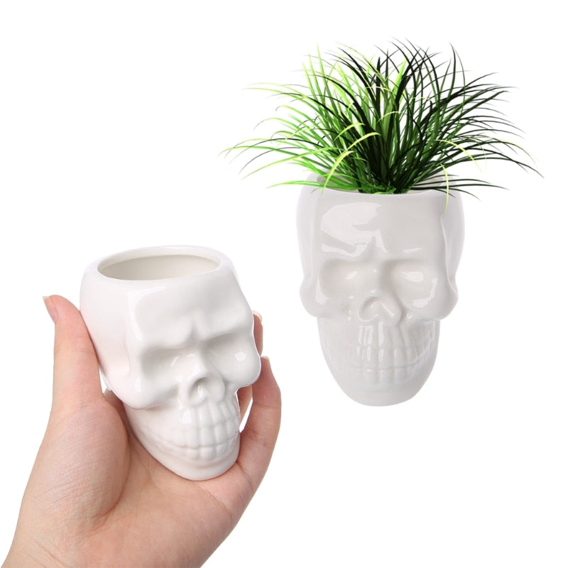 Skull Ceramic Flower succulent cactus  Pot - Planet Desert