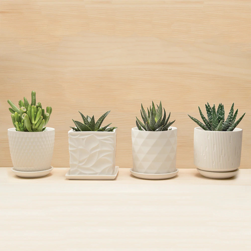 Virago Pot and Saucer